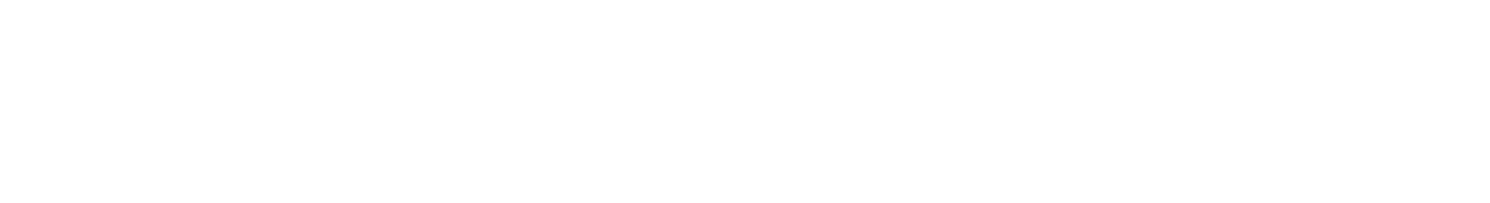 BOY DELUXE